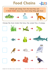 33 Food Chain Worksheet 1st Grade - support worksheet